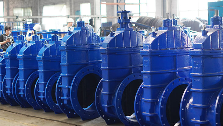 gate valve