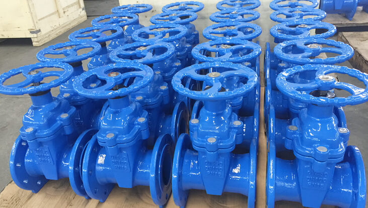 gate valve