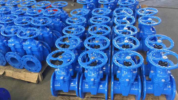 gate valve