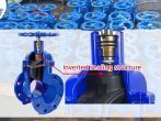 wesdom's gate valve