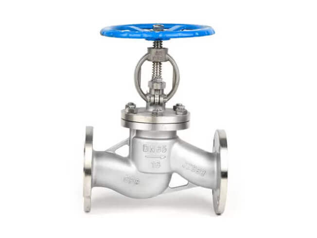 Boiler globe valve
