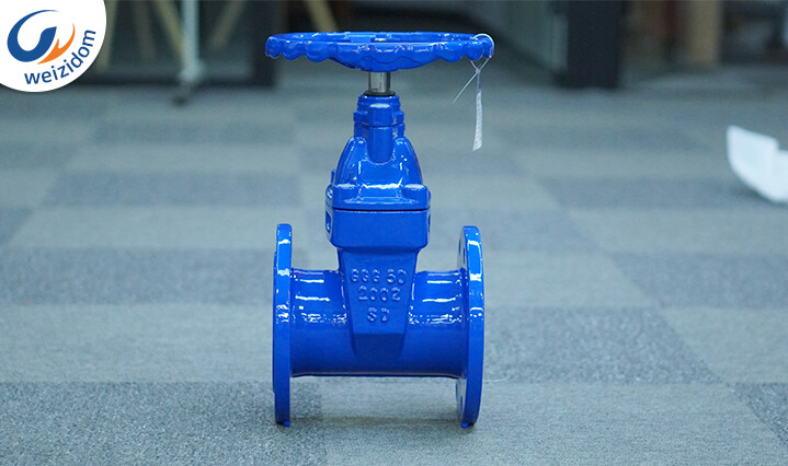 gate valve and globe valve