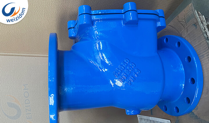 Swing check valve