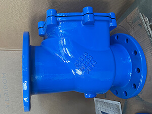 Swing check valve