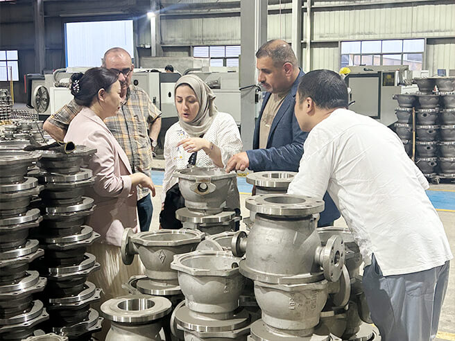 WEIZIDOM Warmly Welcomes Iraqi Delegation to the Factory