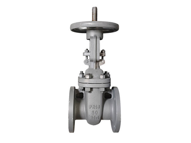 gost gate valve