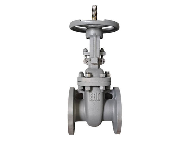 gost gate valve