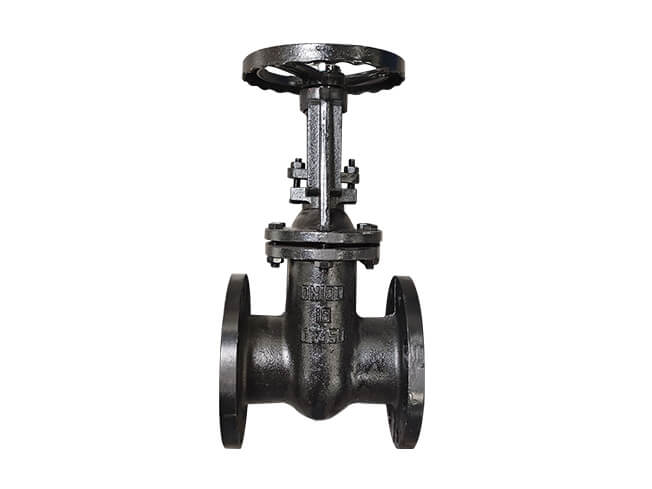gost gate valve