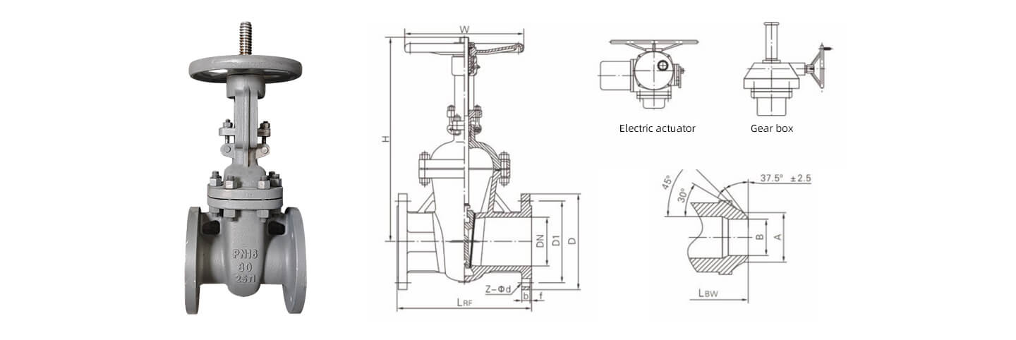 gost gate valve