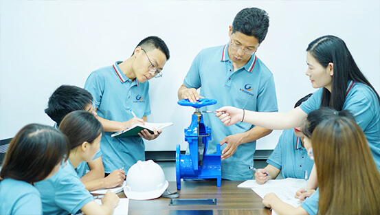 weizidom group