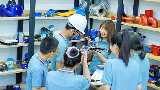 weizidom group