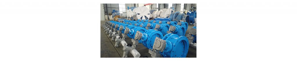 Double Eccentric Butterfly Valve