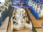 How to Properly Install and Use Globe Valves