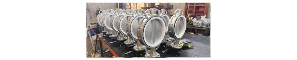 Multi-standard Wafer Butterfly Valve