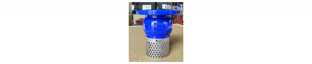 foot valve