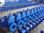 What standard systems of valves does WEIZIDOM offer