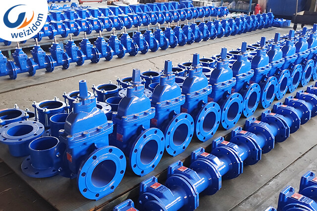 What standard systems of valves does WEIZIDOM offer