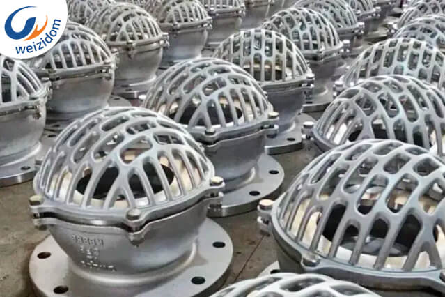 Foot Valve for Your Pump System