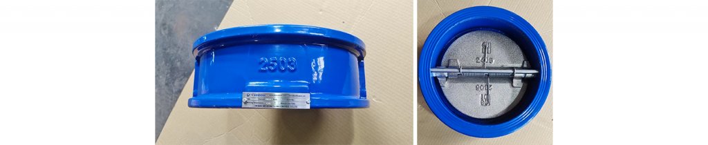 Wafer Check Valve