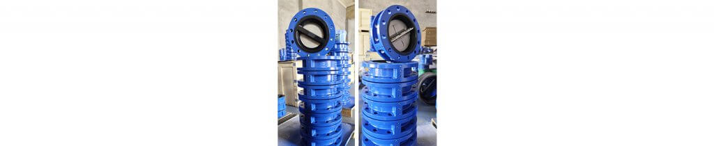 Wafer Check Valve